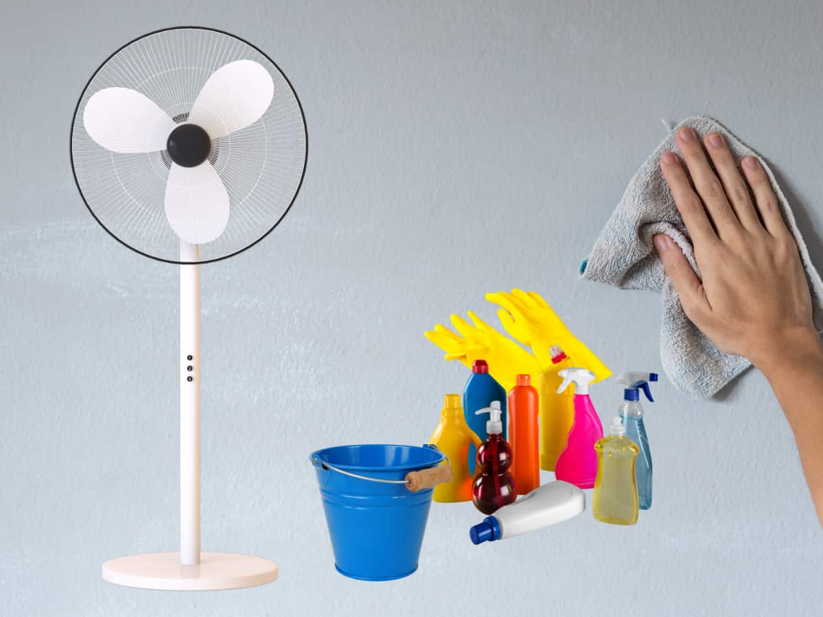 5 Steps to Prevent Mould In Your Closet, Cupboard or Wardrobe