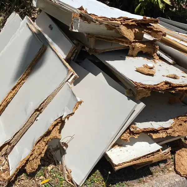Darwin's cyclone clean up.  Lots of damaged shelves due to high humidity conditions