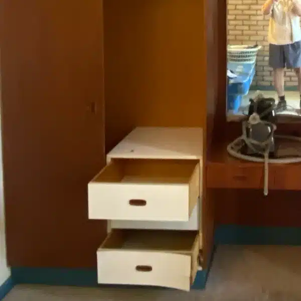 Moisture & Mould damaged particle board shelves in Darwin Wardrobe